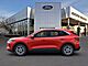2024 Ford Escape Active Oshkosh WI 2024 Ford Escape Active Oshkosh WI