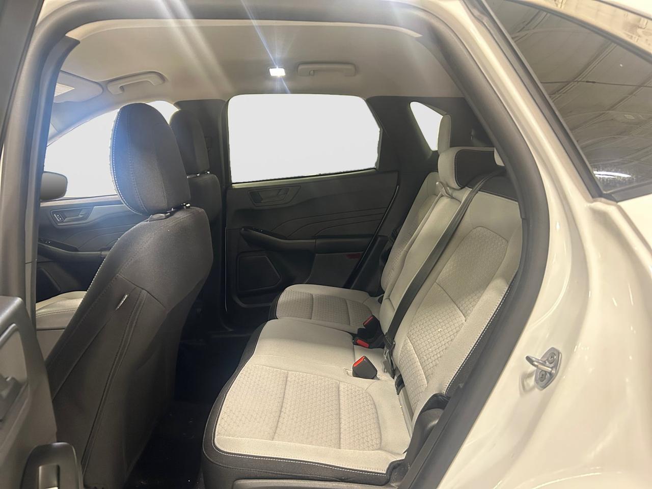 2024 Ford Escape Active New Braunfels TX