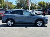 2024 Ford Escape Active San Diego County CA