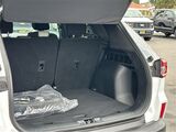 2024 Ford Escape Active San Diego County CA