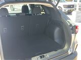 2024 Ford Escape Active San Diego County CA