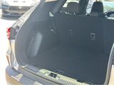 2024 Ford Escape Active San Diego County CA