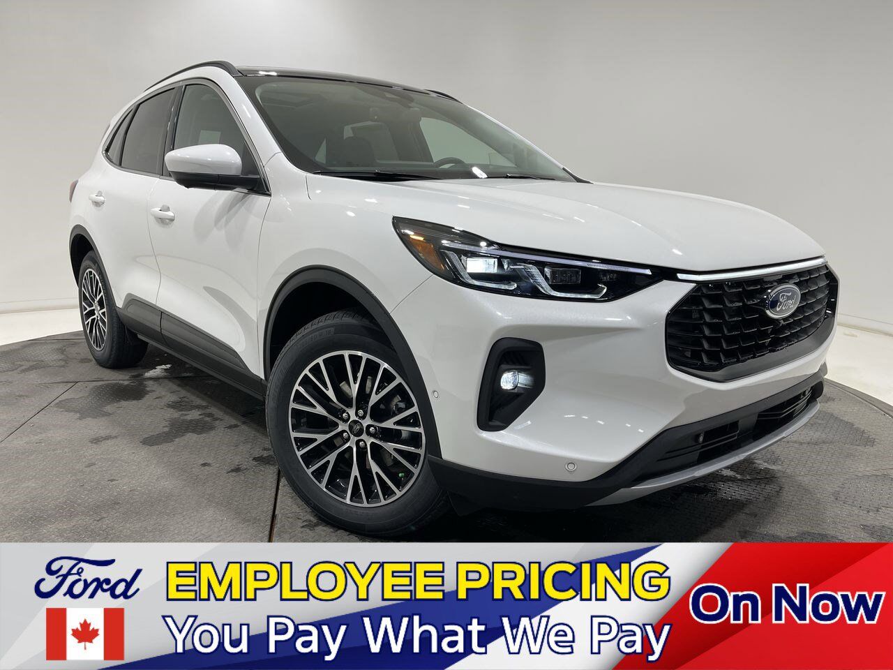 2024 Ford Escape PHEV Sherwood Park AB