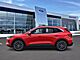 2024 Ford Escape Plug-In Hybrid Base Oshkosh WI