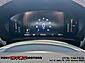 2024 Ford Escape ST-Line Elko NV