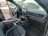 2024 Ford Escape ST-Line Oshkosh WI