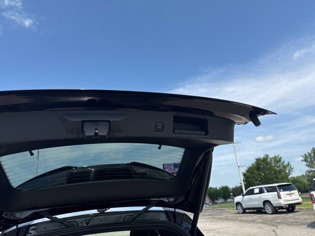 2024 Ford Escape ST-Line Carbondale IL