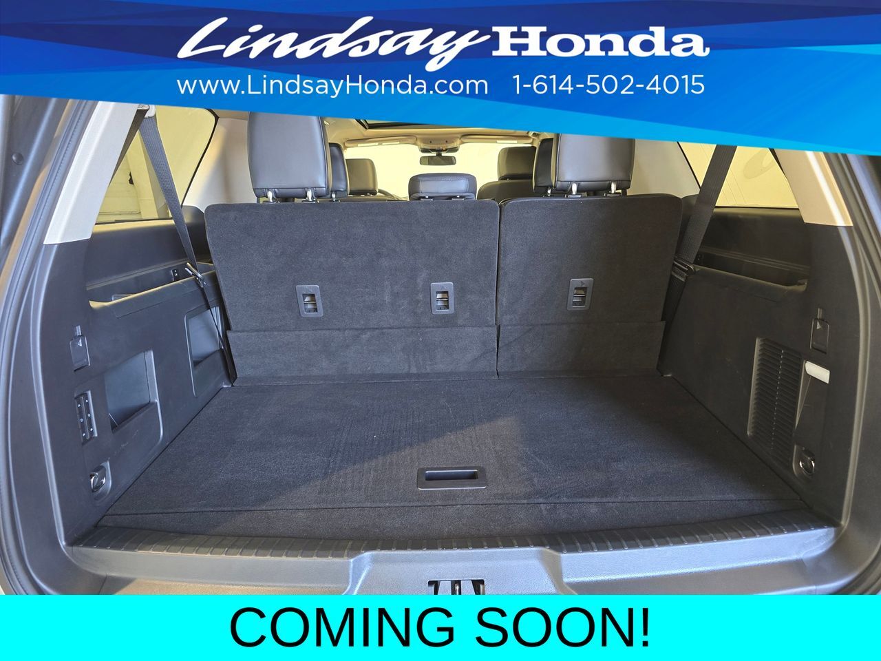 2024 Ford Expedition Max XLT Columbus OH