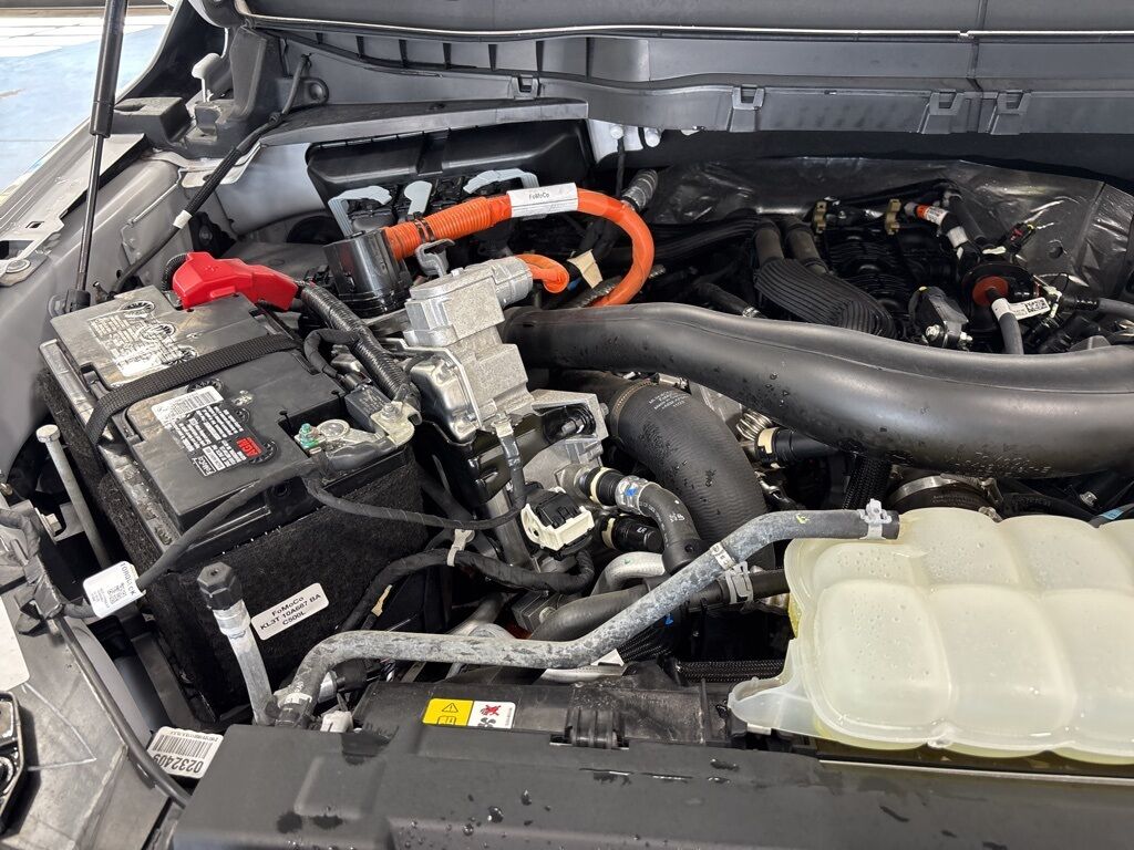 2024 Ford F-150 4x4 SuperCrew Platinum Minocqua WI