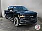 2024 Ford F-150 Crew Cab 4x4 XLT Black appearance Pkg 3.5 Ecoboost 6.5 box Salt Lake City UT