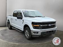 Ford F-150 Crew Cab 4x4 XLT FX4 3.5 Ecoboost 2024