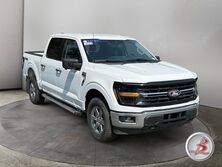Ford F-150 Crew Cab 4x4 XLT FX4 3.5 Ecoboost 2024