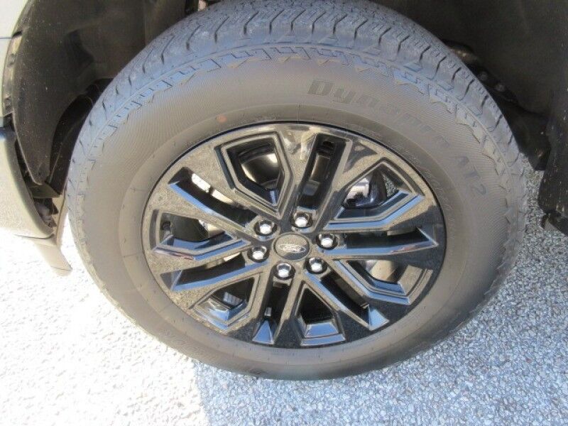 2024 Ford F-150 LARIAT 4WD SuperCrew 5.5&apos; Box Saint George SC