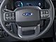 2024 Ford F-150 Lightning Flash Oshkosh WI