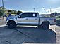 2024 Ford F-150 Platinum  TX