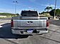 2024 Ford F-150 Platinum  TX