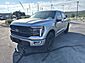 2024 Ford F-150 Platinum  TX