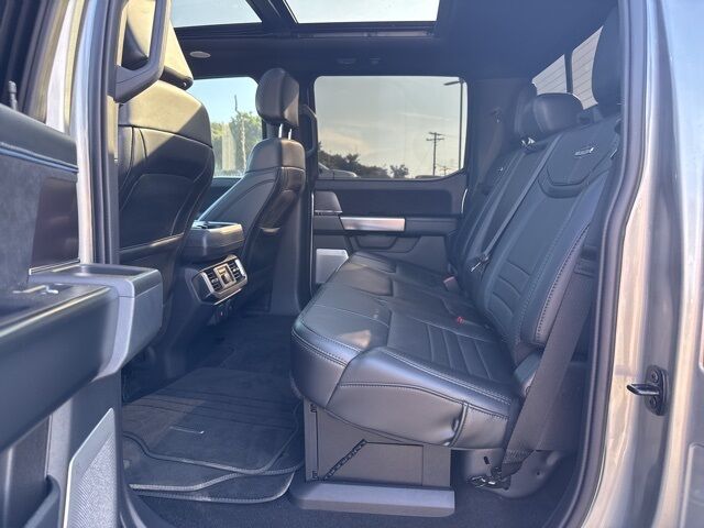 2024 Ford F-150 Platinum  TX
