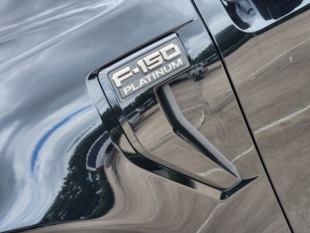2024 Ford F-150 Platinum Grapevine TX