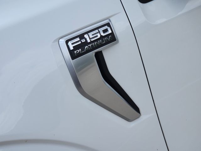 2024 Ford F-150 Platinum Grapevine TX