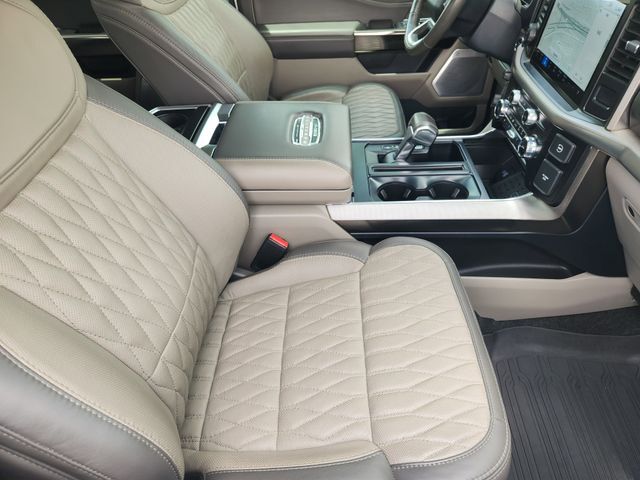 2024 Ford F-150 Platinum Grapevine TX