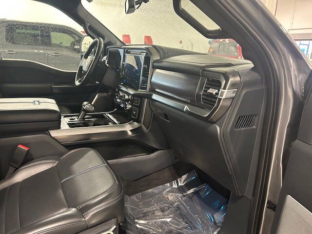 2024 Ford F-150 Platinum New Braunfels TX