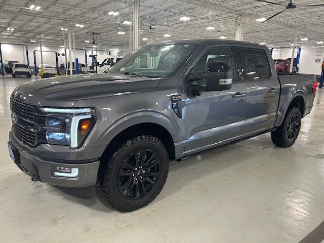 2024 Ford F-150 Platinum New Braunfels TX