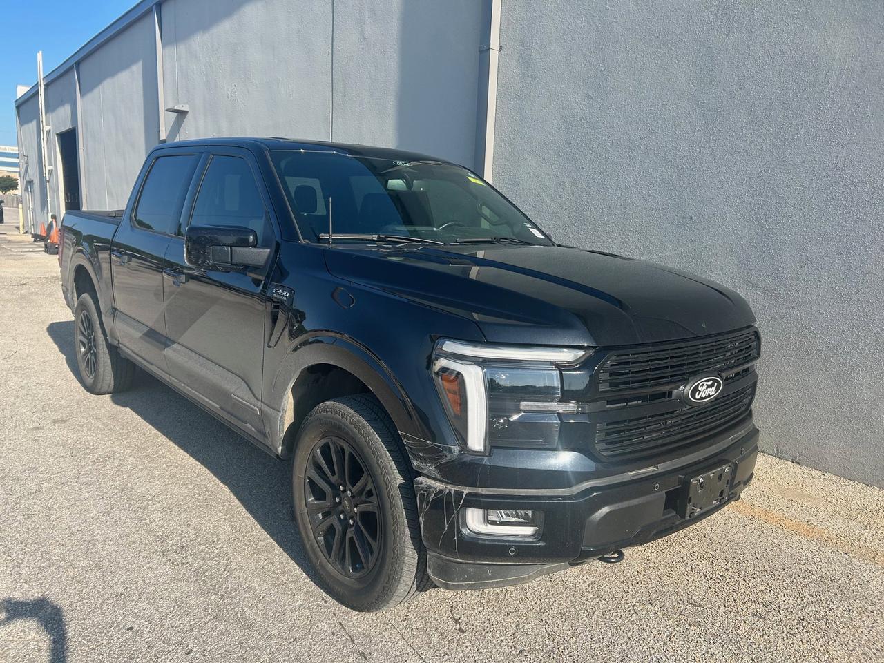 2024 Ford F-150 Platinum New Braunfels TX