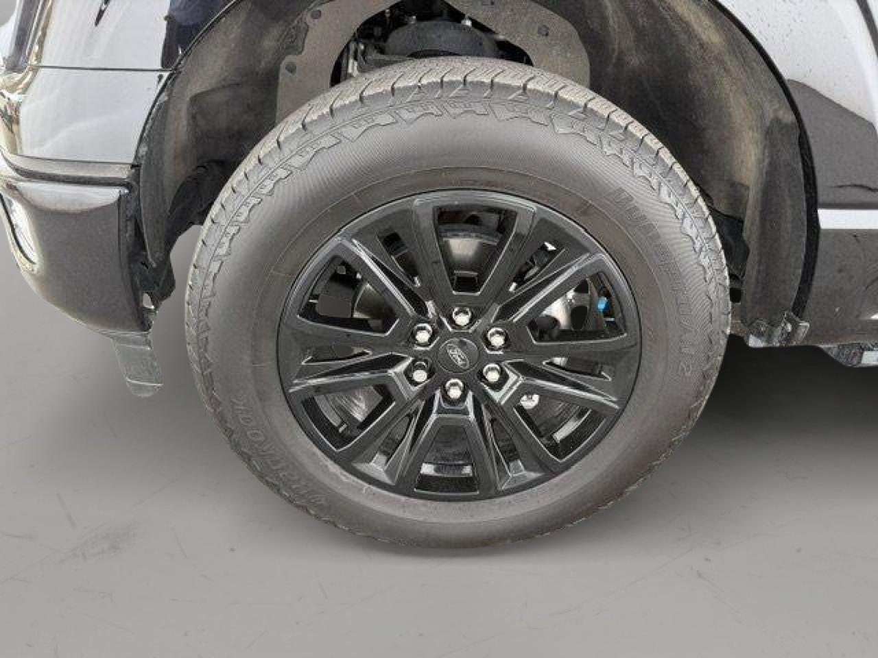 2024 Ford F-150 Platinum New Braunfels TX
