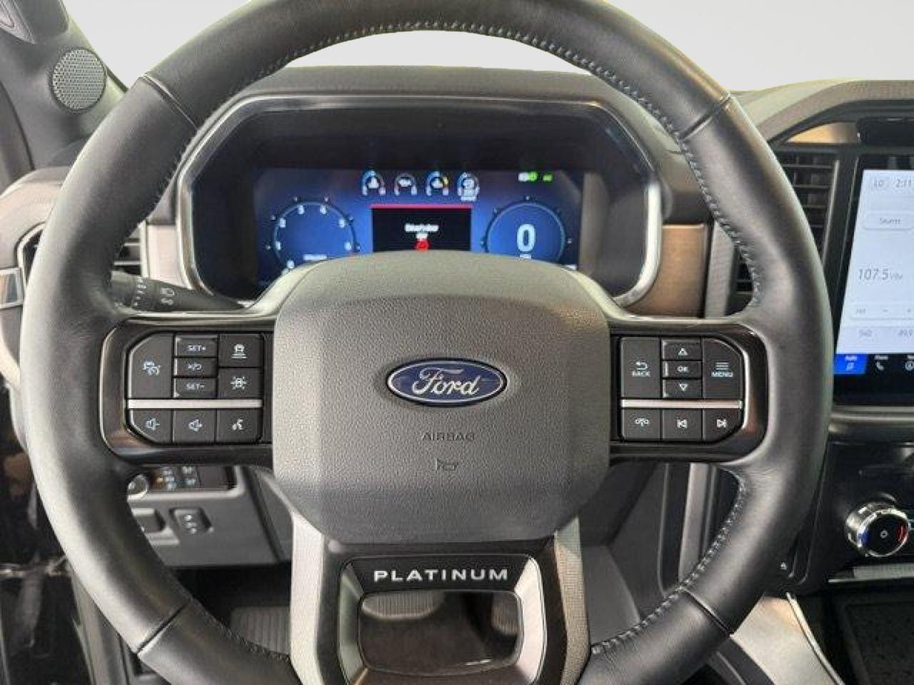 2024 Ford F-150 Platinum New Braunfels TX