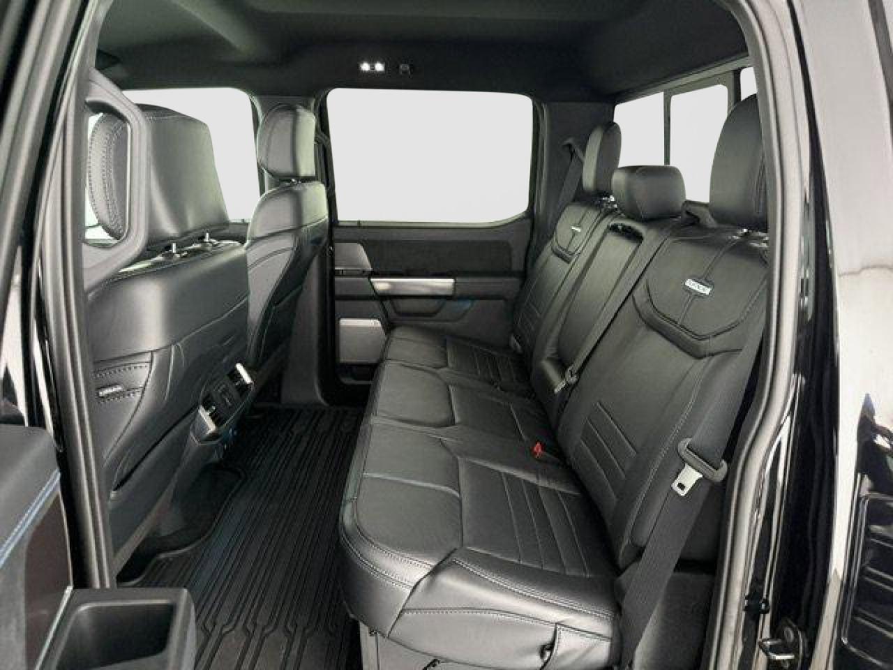 2024 Ford F-150 Platinum New Braunfels TX