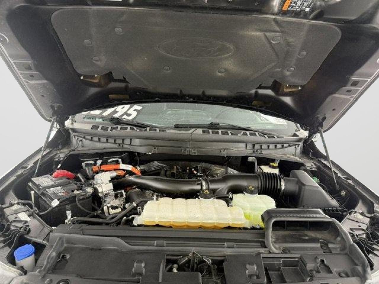 2024 Ford F-150 Platinum New Braunfels TX