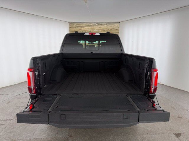 2024 Ford F-150 Platinum New Braunfels TX