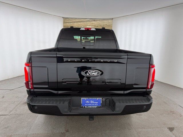 2024 Ford F-150 Platinum New Braunfels TX