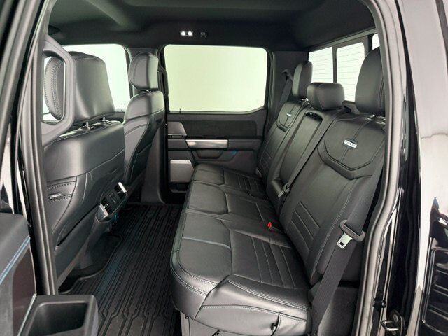 2024 Ford F-150 Platinum New Braunfels TX