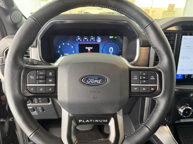 2024 Ford F-150 Platinum New Braunfels TX