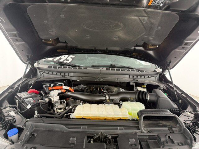 2024 Ford F-150 Platinum New Braunfels TX