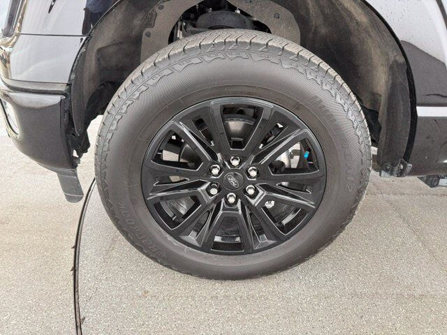 2024 Ford F-150 Platinum New Braunfels TX