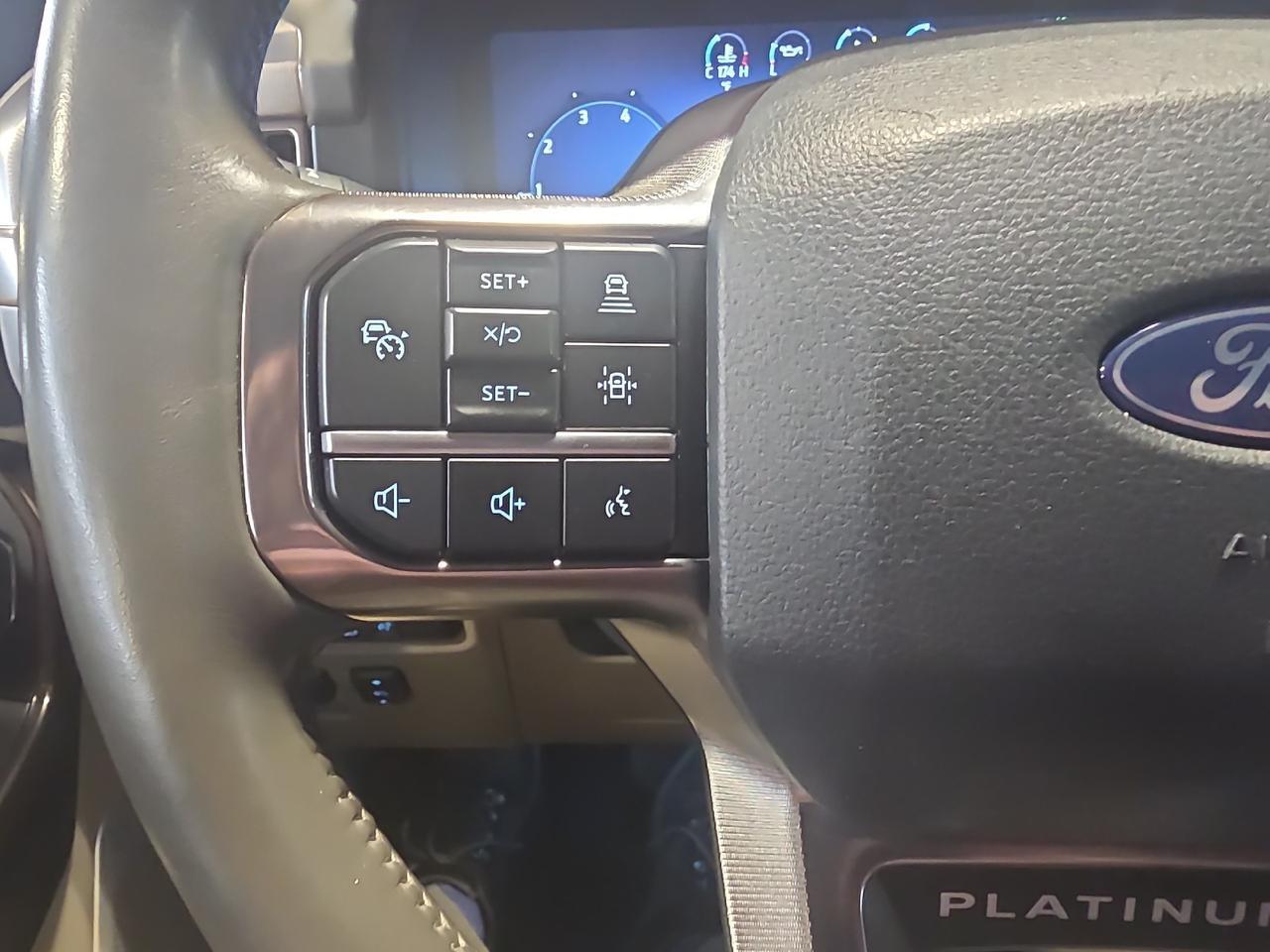 2024 Ford F-150 Platinum Sand Lake NY