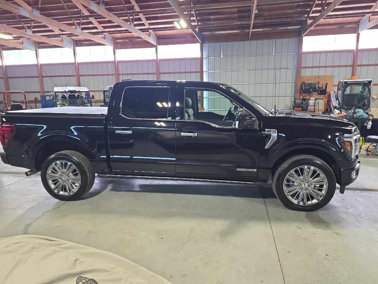2024 Ford F-150 Platinum Sand Lake NY