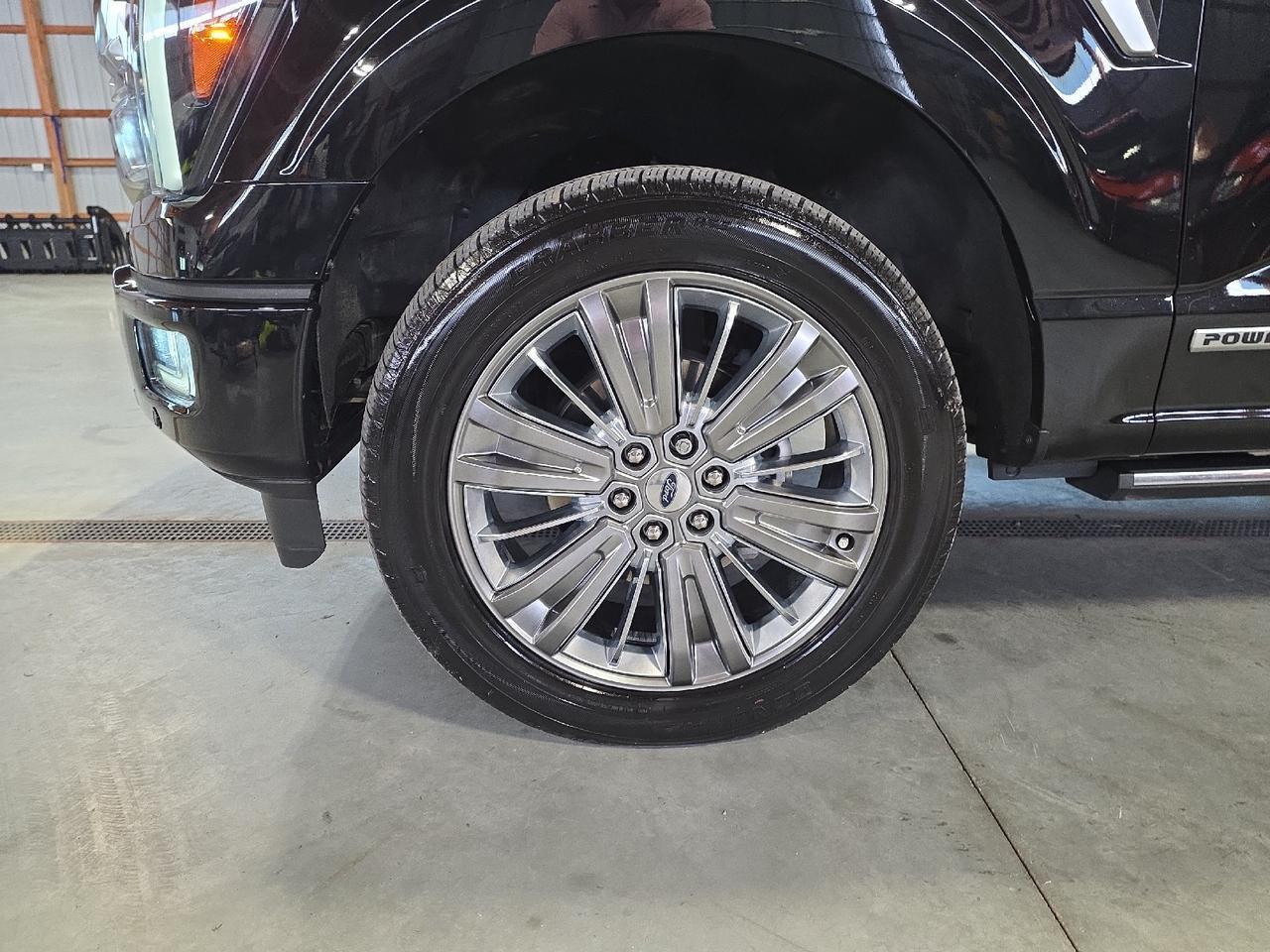 2024 Ford F-150 Platinum Sand Lake NY