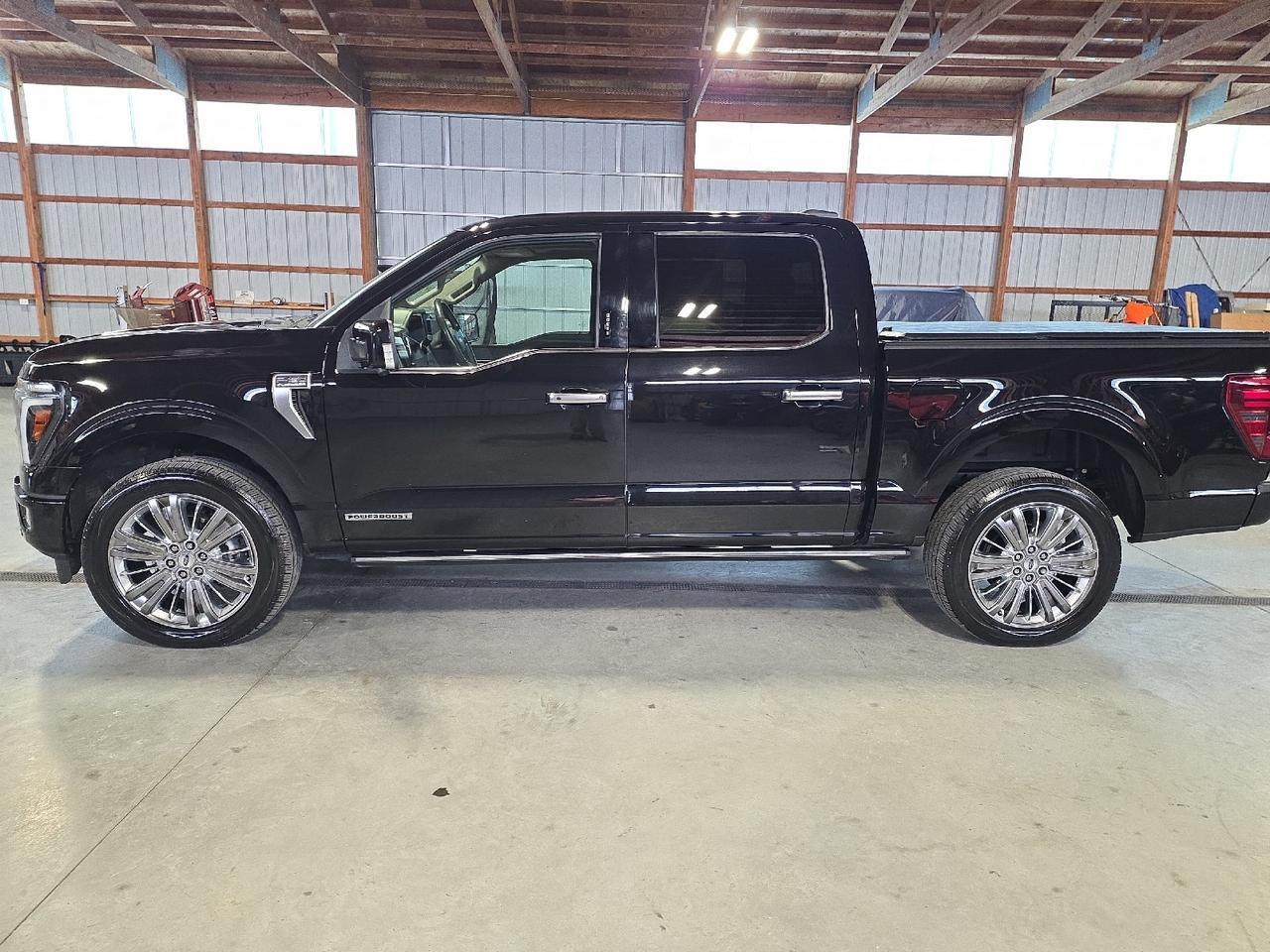 2024 Ford F-150 Platinum