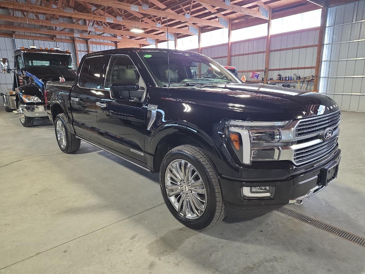 2024 Ford F-150 Platinum Sand Lake NY