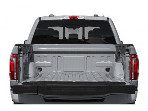 2024 Ford F-150 Platinum Winder GA