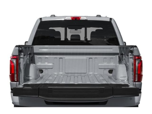 2024 Ford F-150 Platinum Winder GA