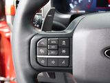 2024 Ford F-150 Raptor Oshkosh WI