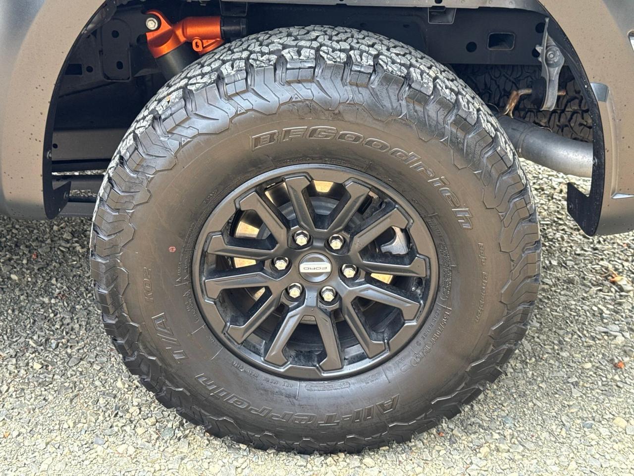 2024 Ford F-150 Raptor Warrenton VA