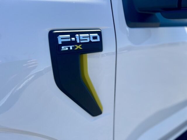 2024 Ford F-150 STX  TX