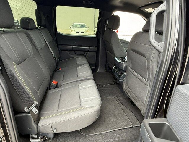 2024 Ford F-150 STX New Braunfels TX