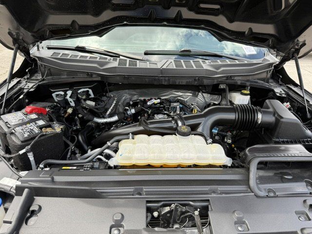 2024 Ford F-150 STX New Braunfels TX